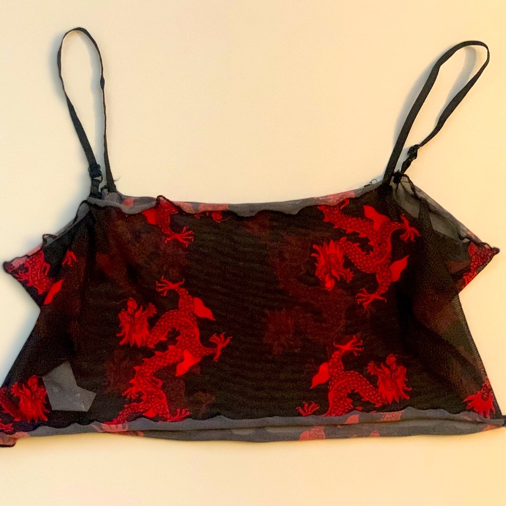 Shein Sheer Dragon Crop Top